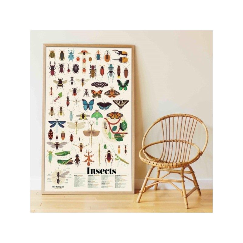 POSTER GEANT DISCOVERY INSECTES + 44 STICKERS