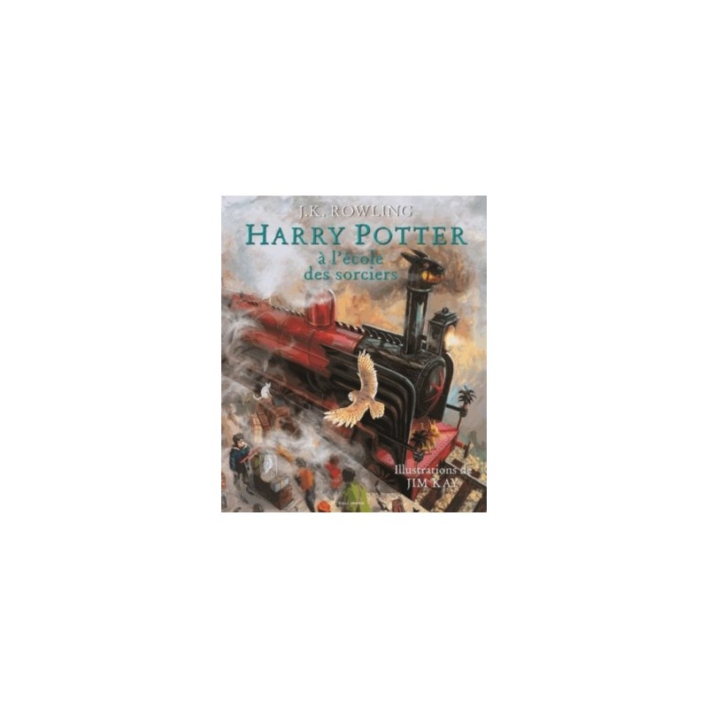 HARRY POTTER ILLUSTRE T01 - HARRY POTTER A L'ECOLE DES SORCIERS