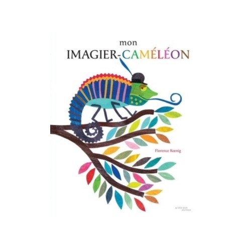 MON IMAGIER CAMELEON