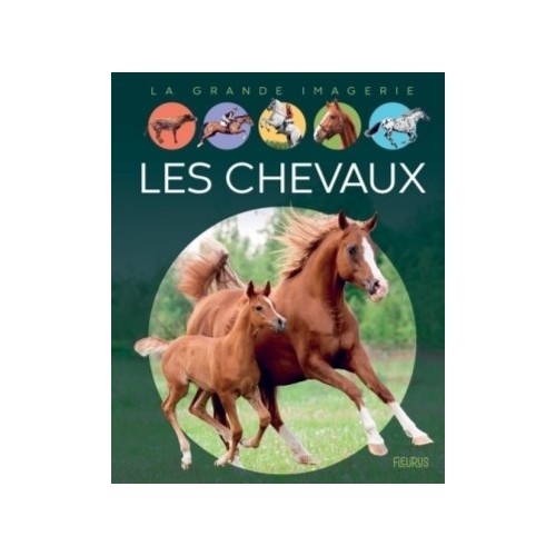 LA GRANDE IMAGERIE - LES CHEVAUX