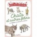 LES CHATS ET FELINS