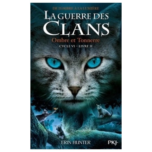 LA GUERRE DES CLANS CYCLE VI T02 - OMBRE ET TONNERRE