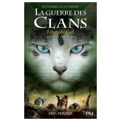 LA GUERRE DES CLANS CYCLE VI T03 - ECLATS DANSLE CIEL