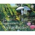 LA PETITE ESPIONNE DES NYMPHEAS