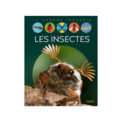 LA GRANDE IMAGERIE - LES INSECTES