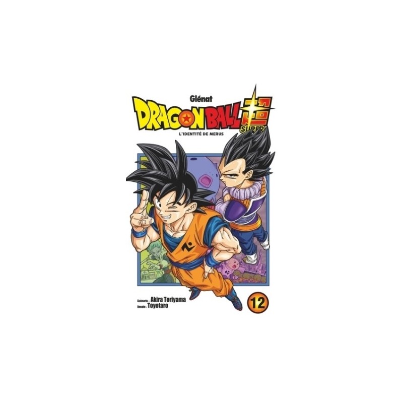 DRAGON BALL SUPER T12