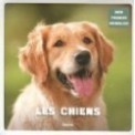 MON PREMIER ANIMALIER - LES CHIENS