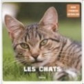 MON PREMIER ANIMALIER - LES CHATS