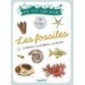 MON PETIT GUIDE - LES FOSSILES