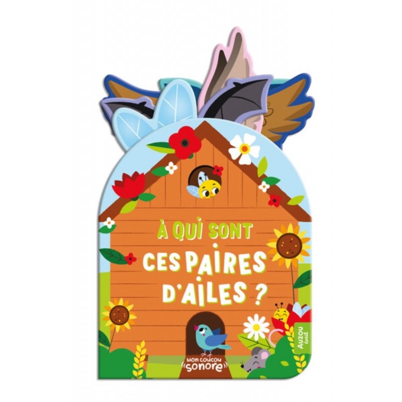 A QUI SONT CES PAIRES D'AILES ?