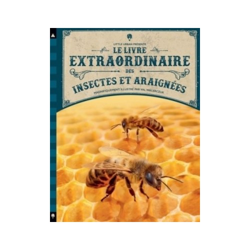 LE LIVRE EXTRAORDINAIRE DES INSECTES ET ARAIGNEES