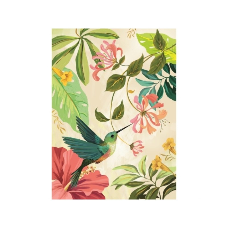 CAHIER A5 COUVERTURE SOUPLE COLIBRI