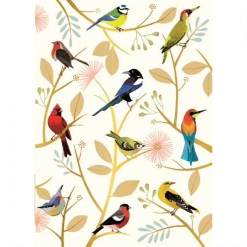 CAHIER A5 COUVERTURE SOUPLE LES OISEAUX