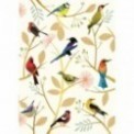 CAHIER A5 COUVERTURE SOUPLE LES OISEAUX