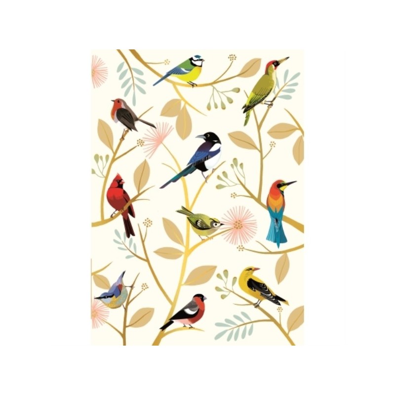 CAHIER A5 COUVERTURE SOUPLE LES OISEAUX