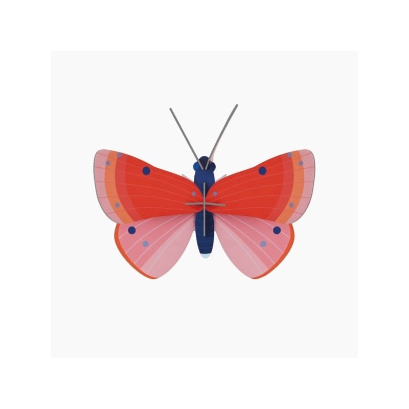 INSECTE SPECKLED COPPER BUTTERFLY PAPILLON