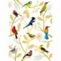 CARNET A6 COUVERTURE SOUPLE LES OISEAUX