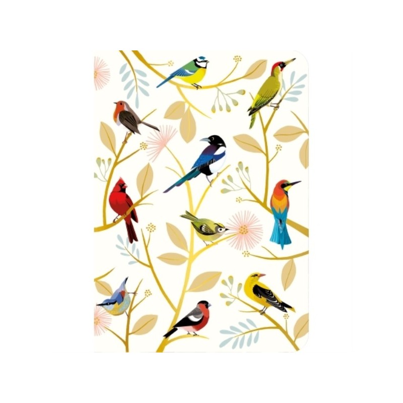 CARNET A6 COUVERTURE SOUPLE LES OISEAUX