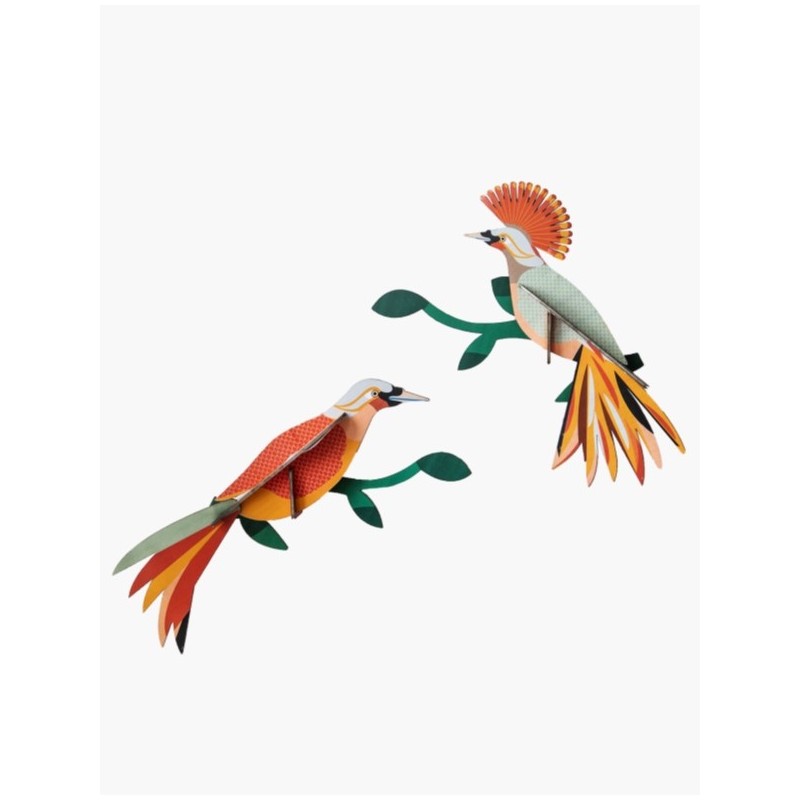 OISEAU PARADISE BIRD, OBI