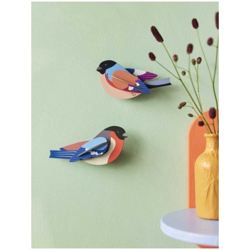 OISEAU PARADISE BIRD, FINCHES COUPLE DE PINSONS