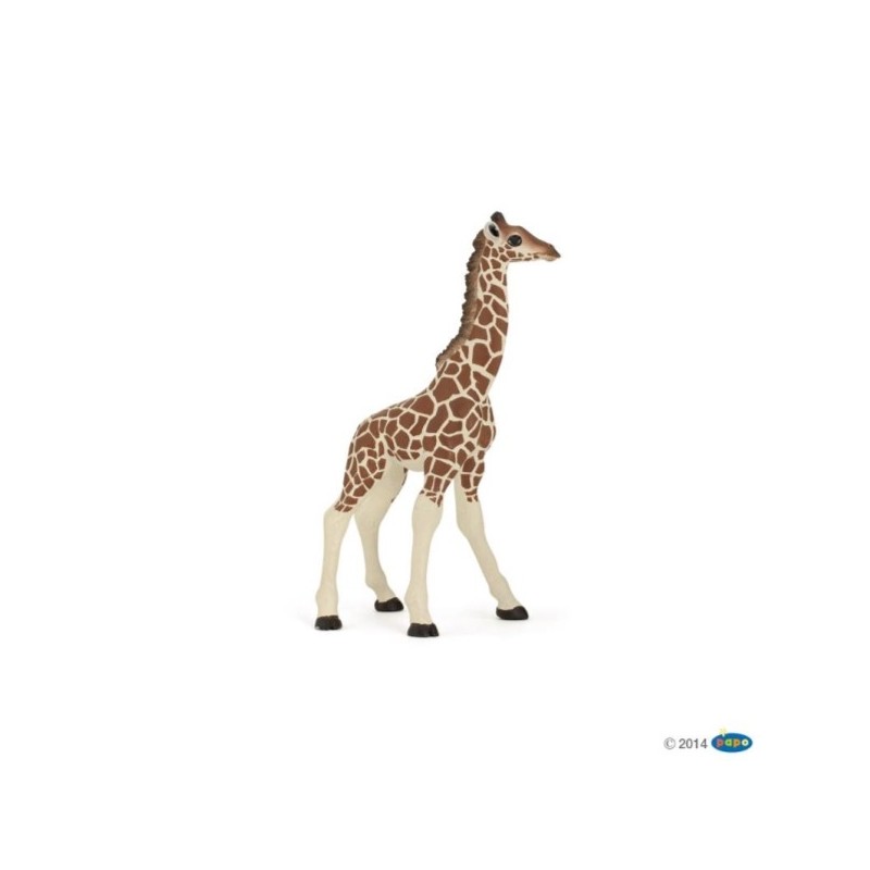 ANIMAUX SAUVAGE - GIRAFON