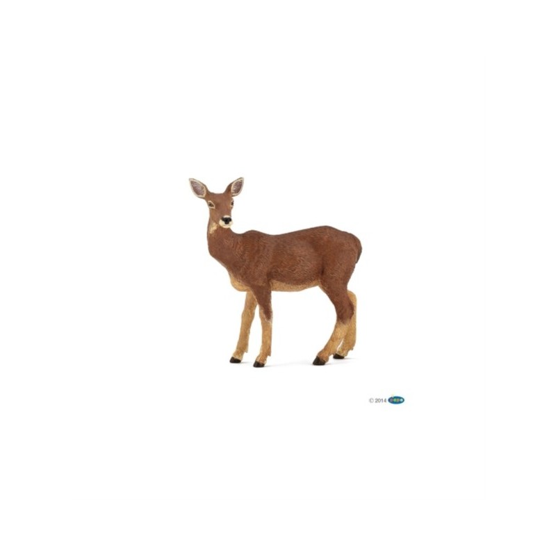 BICHE