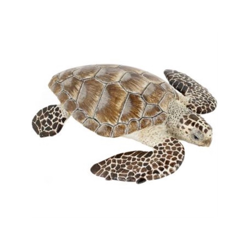 ANIMAUX MARINS - TORTUE CAOUANNE