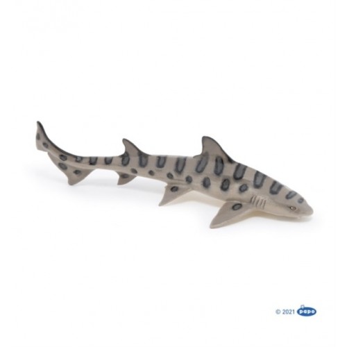 ANIMAUX MARINS - REQUIN LEOPARD