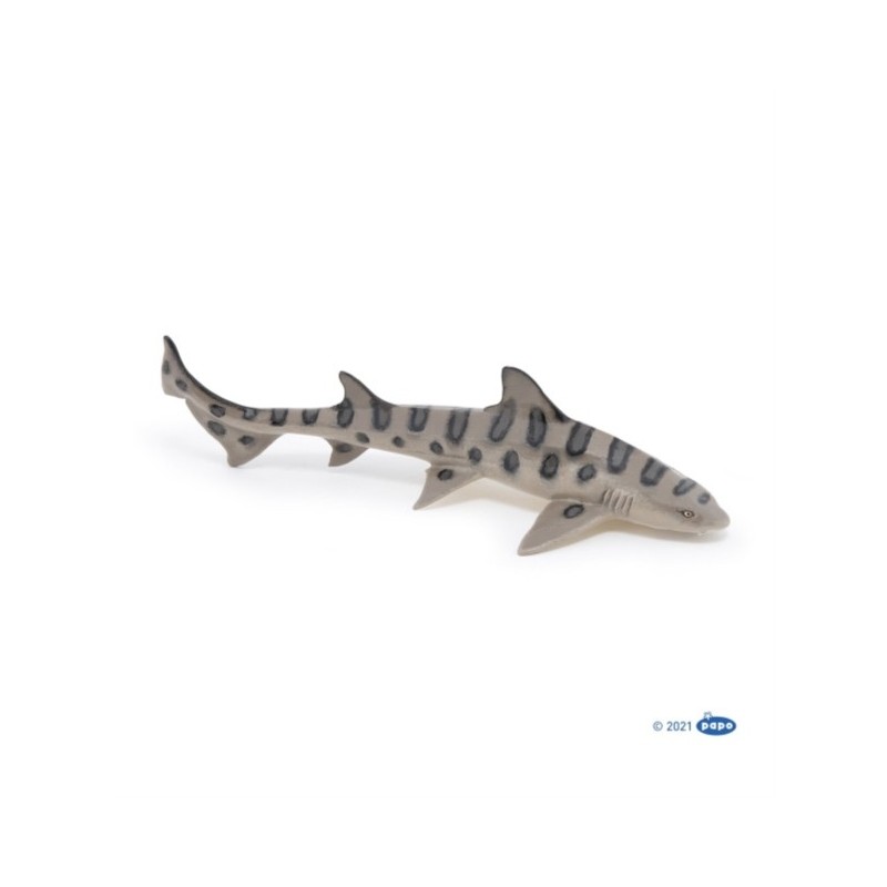 ANIMAUX MARINS - REQUIN LEOPARD