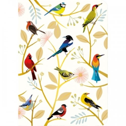 CARNET A6 COUVERTURE SOUPLE LES OISEAUX