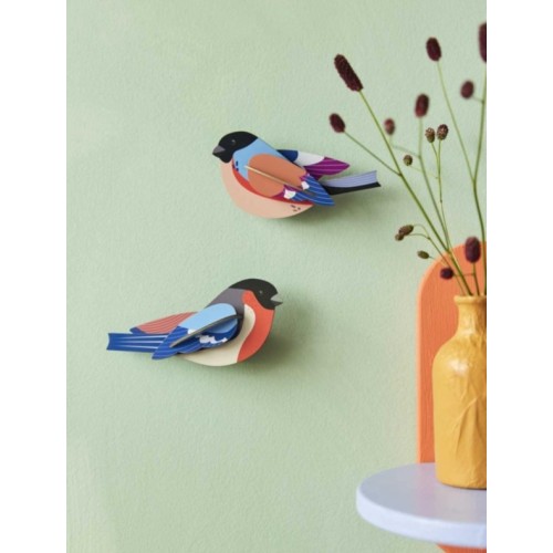 OISEAU PARADISE BIRD, FINCHES COUPLE DE PINSONS