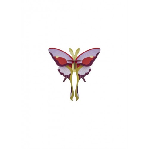 INSECTE LILAC COMET BUTTERFLY PAPILLON